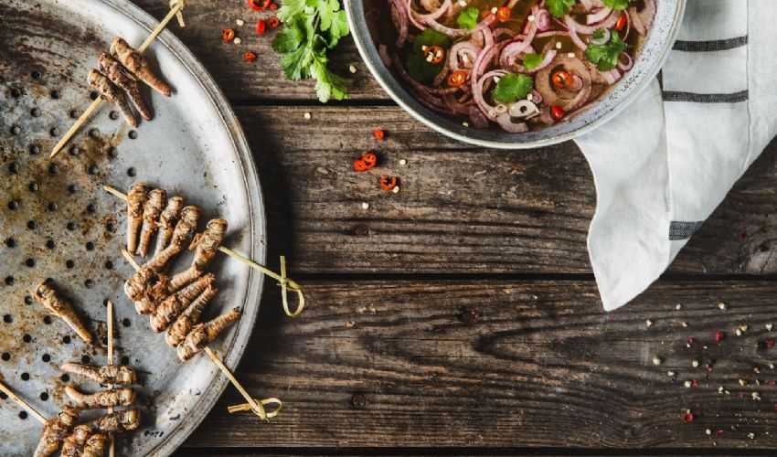 Insetti da mangiare: EFSA ok all’uso delle tarme della farina a tavola