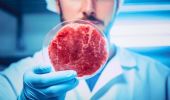 Carne sintetica, sanzioni fino a 150mila euro per chi viola i divieti