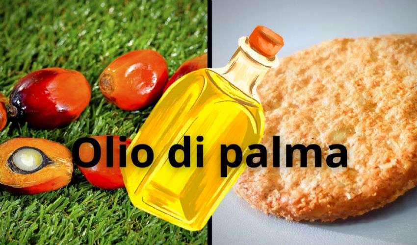 Effetto guerra: torna l’olio di palma nei biscotti. Ecco perché