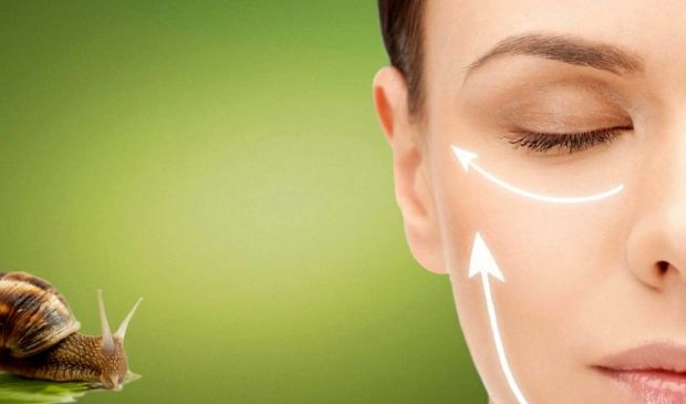 Bava di Lumaca: costo e benefici sulla pelle contro rughe e acne