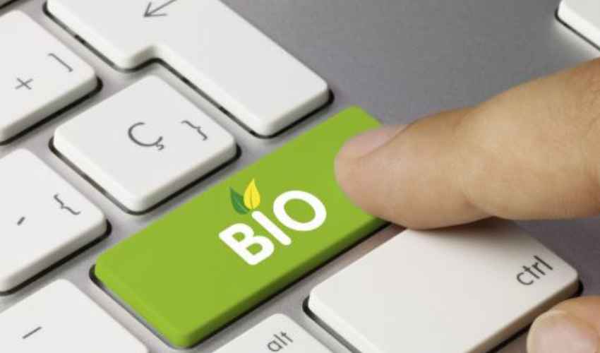 Aprire azienda agricola biologica: requisiti IAP e Partita IVA