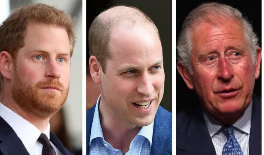 Harry-William insieme per Diana e Carlo da Re punirà il figlio ribelle