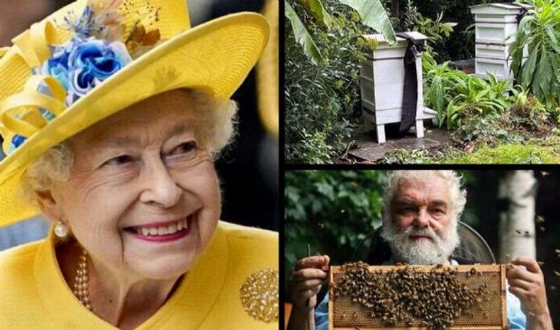 Le api reali informate della morte della regina Elisabetta II
