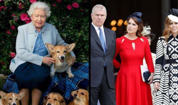 Eredità regina Elisabetta, Andrea si prenderà cura dei royal dogs