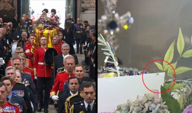 Un piccolo ragno a sorpresa durante i funerali della regina Elisabetta