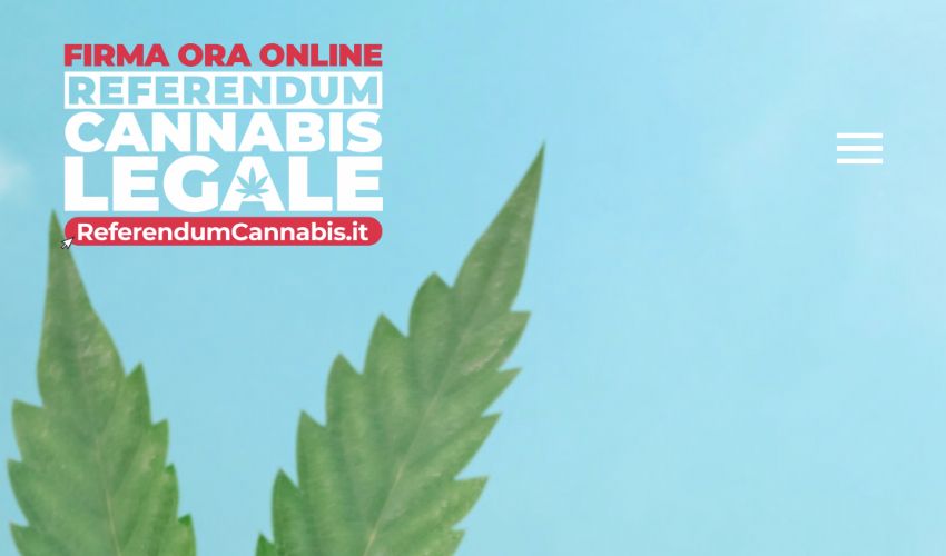 Referendum sulla cannabis, oltre 330 mila firme (anche digitali)