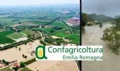 Emilia Romagna, fango e acqua: a rischio la “fruit valley” italiana