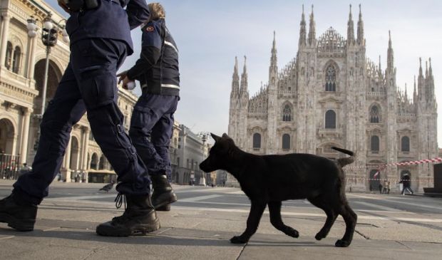 Milano, cinque cani morti folgorati a causa della neve: ecco il perché