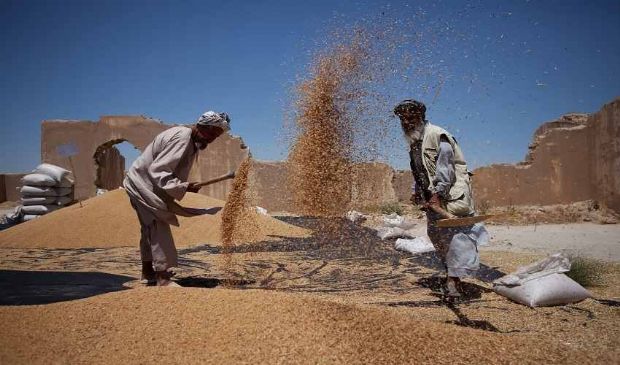 Afghanistan, report FAO e WFP: a novembre, grave emergenza alimentare