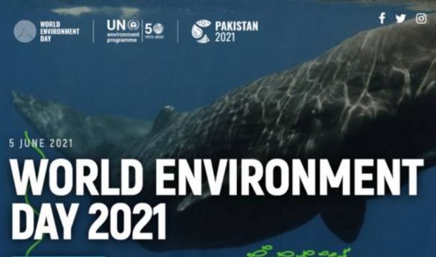 Giornata mondiale dell’ambiente 2021: tema, obiettivi ed eventi