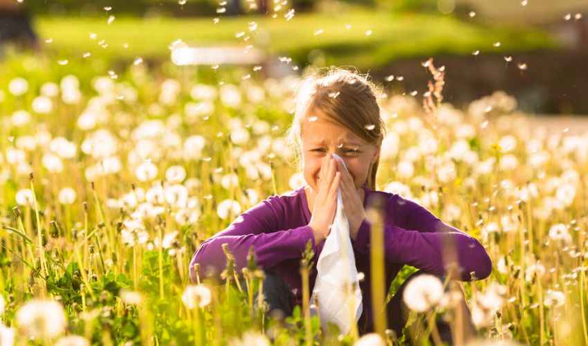 Calendario pollini 2021: sintomi, durata, rimedi e allergia al polline