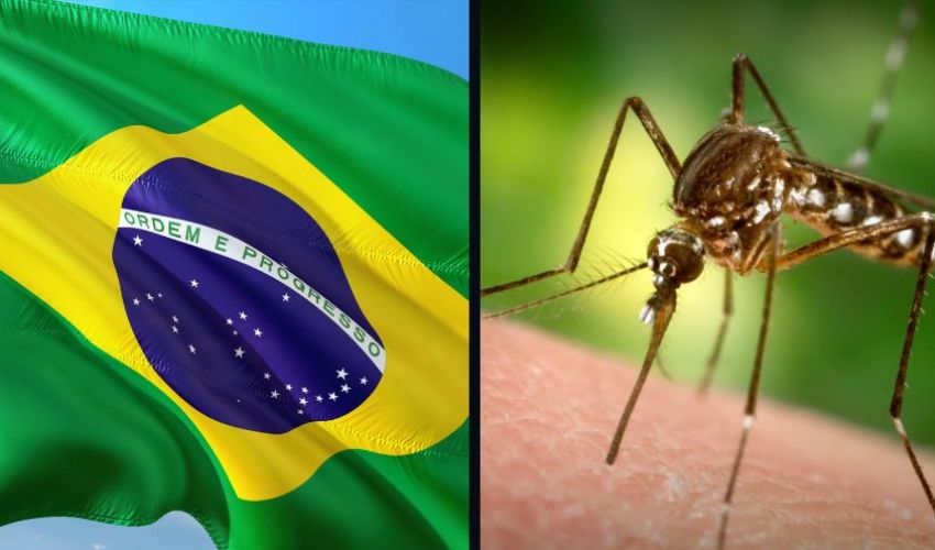 Cresce l’emergenza Dengue in Brasile: oltre 1,5 milioni di casi