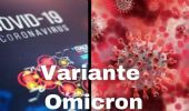 Covid, i vaccini in arrivo contro virus e nuove varianti (Omicron)