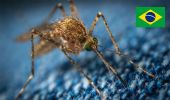 Emergenza Brasile: i casi di Dengue raggiungono il picco storico