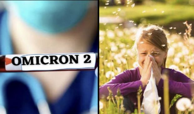 Omicron 2 e allergie di stagione, come distinguerle: i sintomi