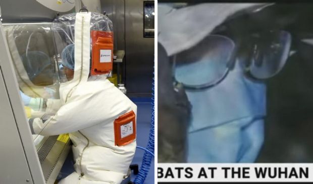 Covid, origine del virus: pipistrelli nel laboratorio di Wuhan