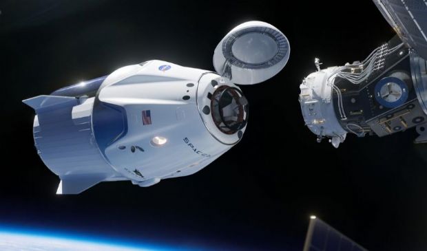 SpaceX, Elon Musk porta vermi e calamari sull’ISS: perché e come farà