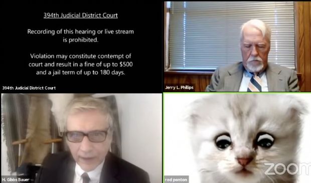 Sbaglia filtro su Zoom: avvocato in udienza si trasforma in un gatto