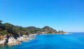 Le 5 spiagge più belle della Toscana 2021. La classifica e quali sono